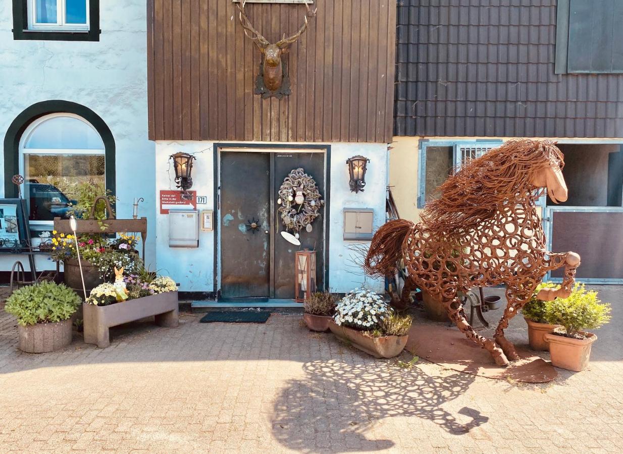 Maisonette - 2 Schlafzimmer - Wohn-Kuche - Balkon - Hohes Venn - Monschau - Eifel - Hunde Willkommen Beim Hof Vierzehnender - Islandpferde Buitenkant foto