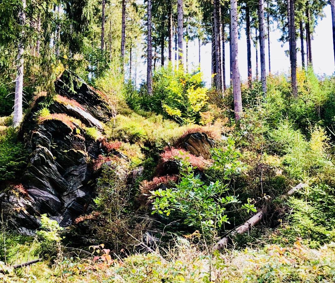 Maisonette - 2 Schlafzimmer - Wohn-Kuche - Balkon - Hohes Venn - Monschau - Eifel - Hunde Willkommen Beim Hof Vierzehnender - Islandpferde Buitenkant foto