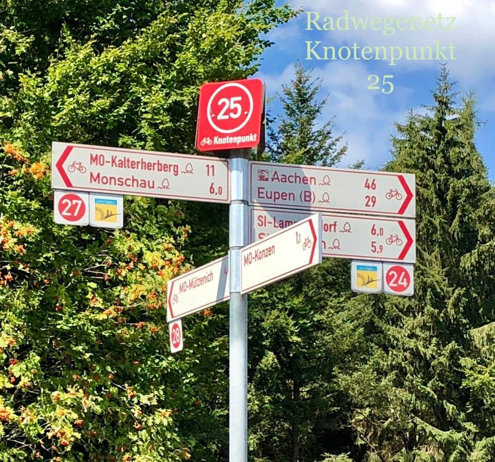 Hof Vierzehnender Im Hohen Venn - 70Qm Maisonette - 2 Schlafzimmer - Wohnkueche - Balkon Mit Grill - Monschau - Eifel - Hunde Willkommen - Islandpferde Buitenkant foto