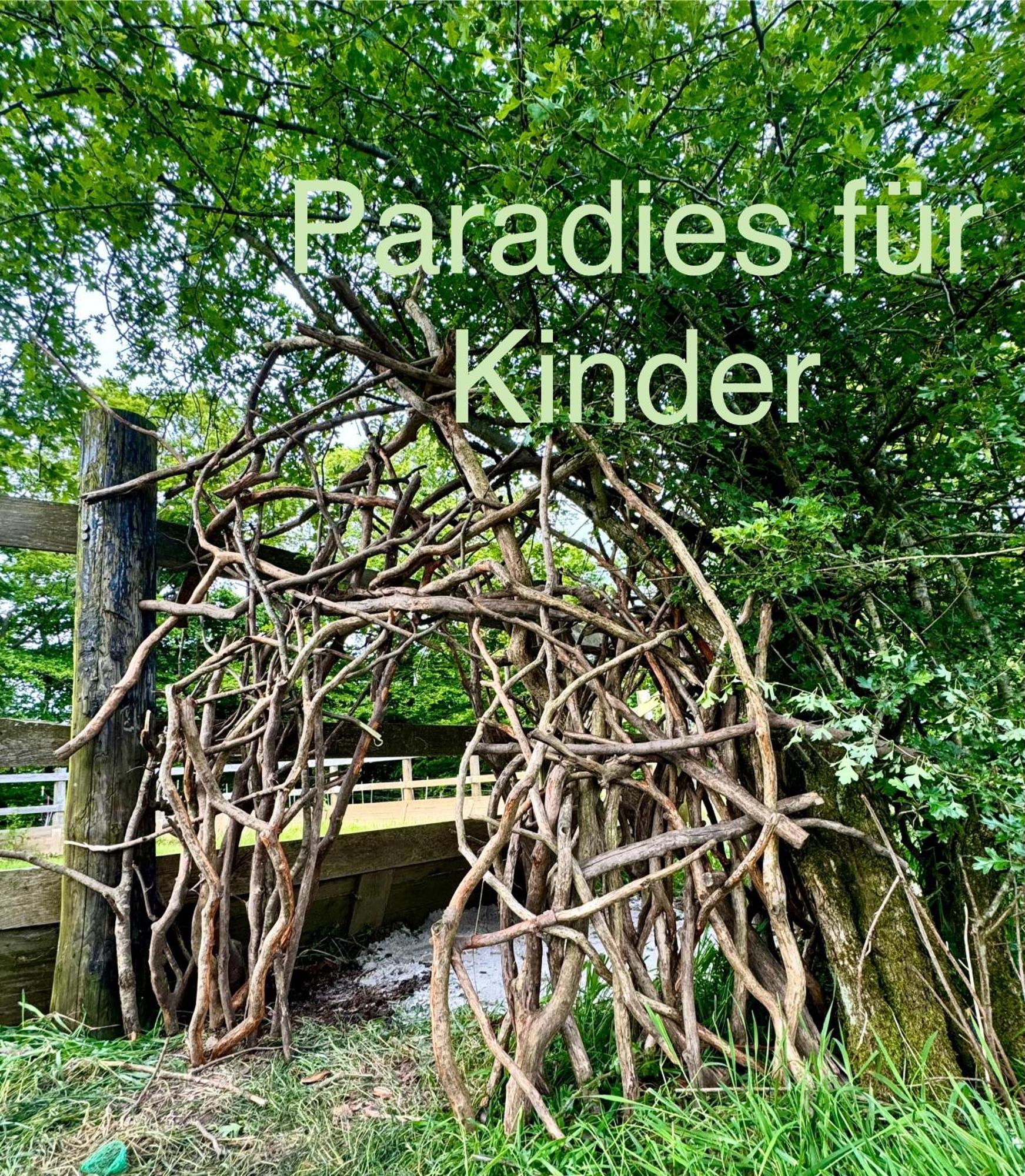 Hof Vierzehnender Im Hohen Venn - 70Qm Maisonette - 2 Schlafzimmer - Wohnkueche - Balkon Mit Grill - Monschau - Eifel - Hunde Willkommen - Islandpferde Buitenkant foto