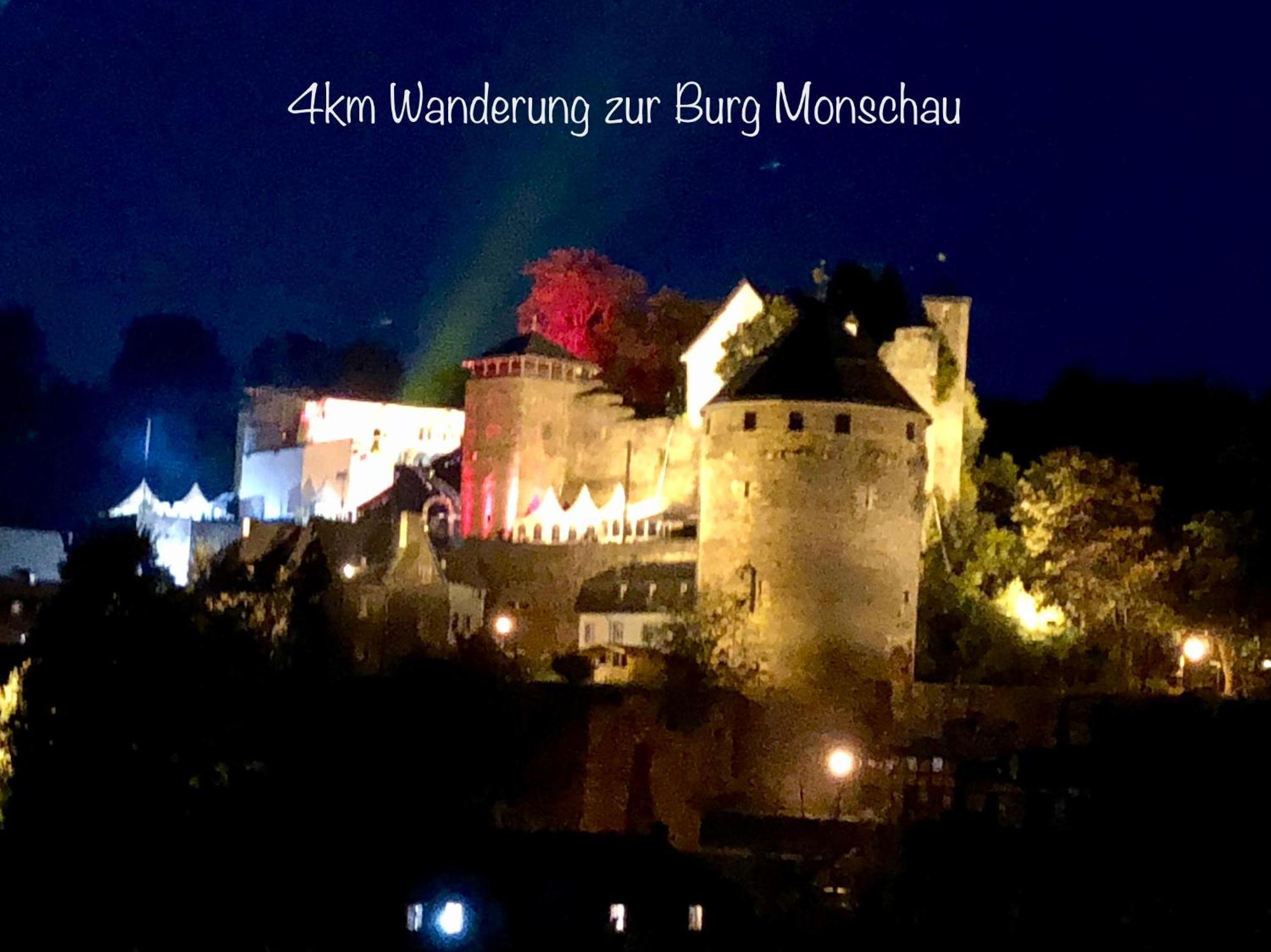 Hof Vierzehnender Im Hohen Venn - 70Qm Maisonette - 2 Schlafzimmer - Wohnkueche - Balkon Mit Grill - Monschau - Eifel - Hunde Willkommen - Islandpferde Buitenkant foto